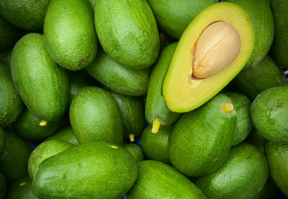 aguacates 98