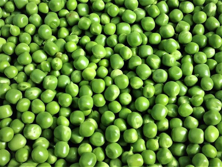 cluster of healthy shining raw green peas isolated seeds 