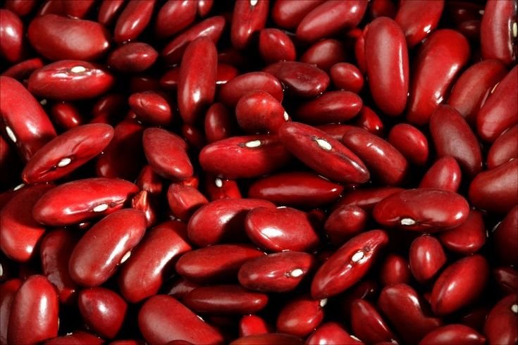 frijoles rojos caseros recetas colombianas