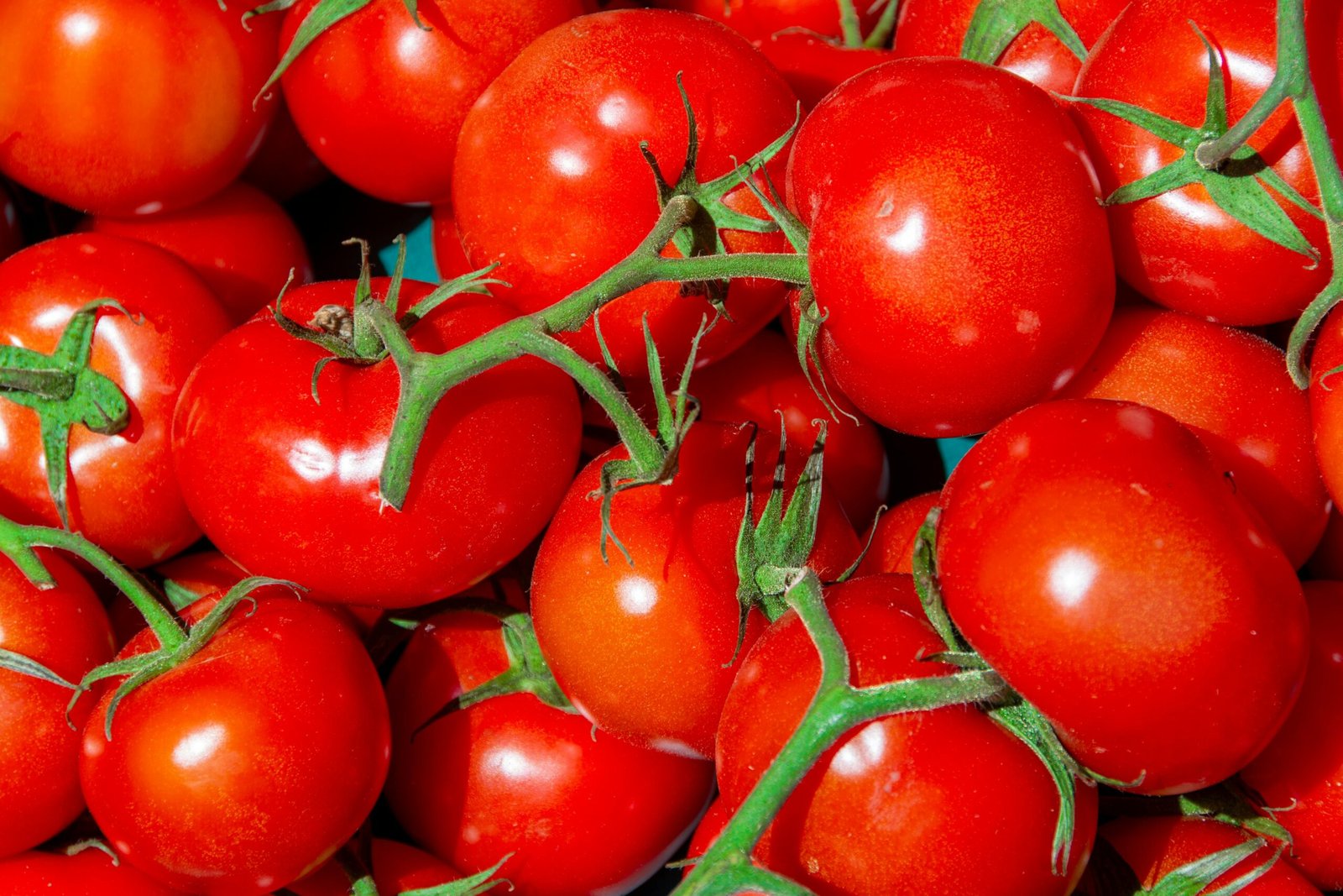 pexels jan van der wolf 11680885 20308756