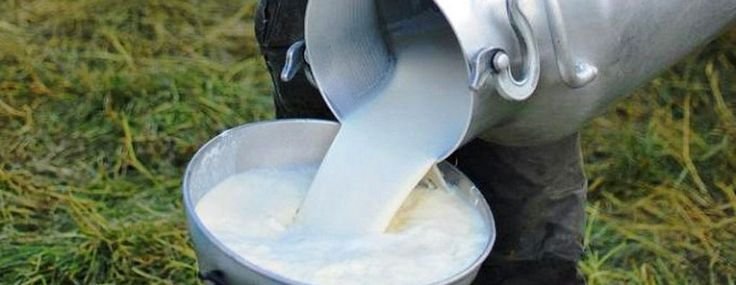 leche recien ordenada