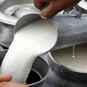 leche de vaca