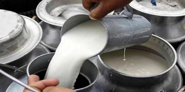 leche recien ordenada