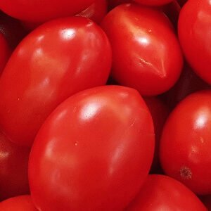 tomate chonto